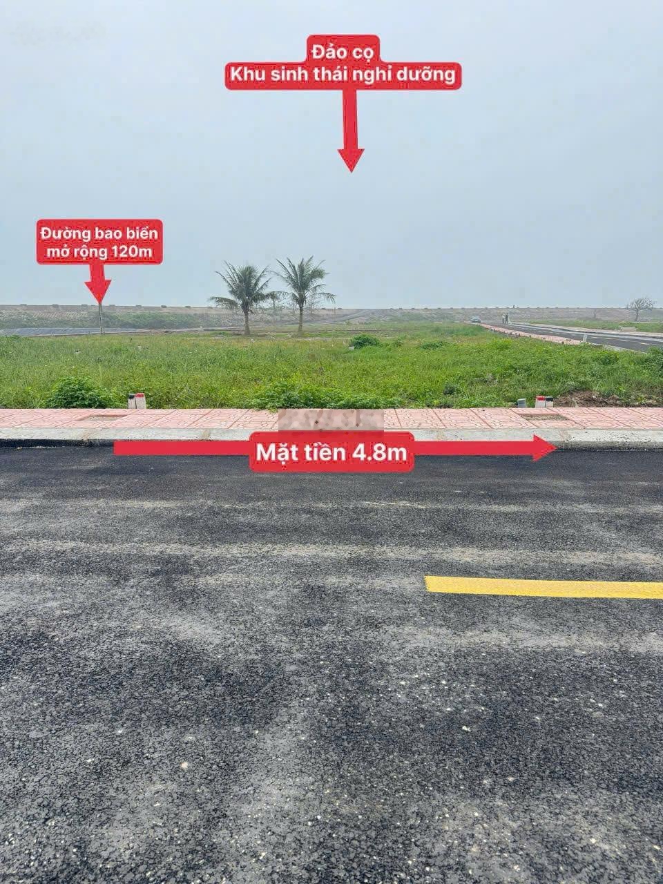 Chiết khấu 50tr cho 3 lô đầu tiên trong tháng 3/2026 (lh 0977494482 để nhận chiết khấu)