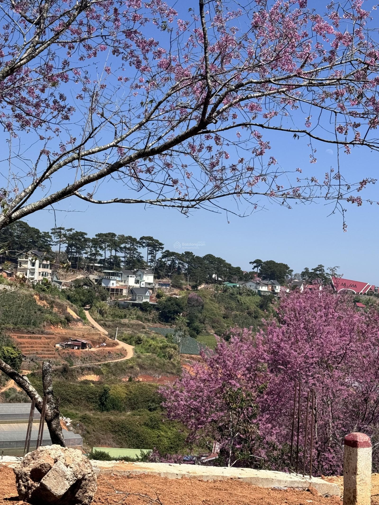 Bán đất sổ riêng xây dựng. TP Đà Lạt. Cách Trung Tâm Tp Đà Lạt 10.5km