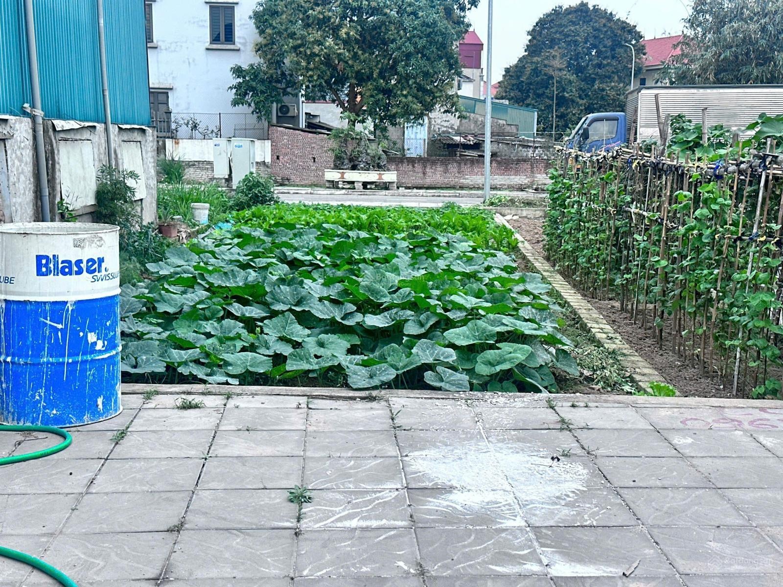 Chỉ 5.2 tỷ 95m2 đường trước, sau nhà 10m lô góc mặt phố như Quỳnh sát khu công nghiệp tân quang,vin