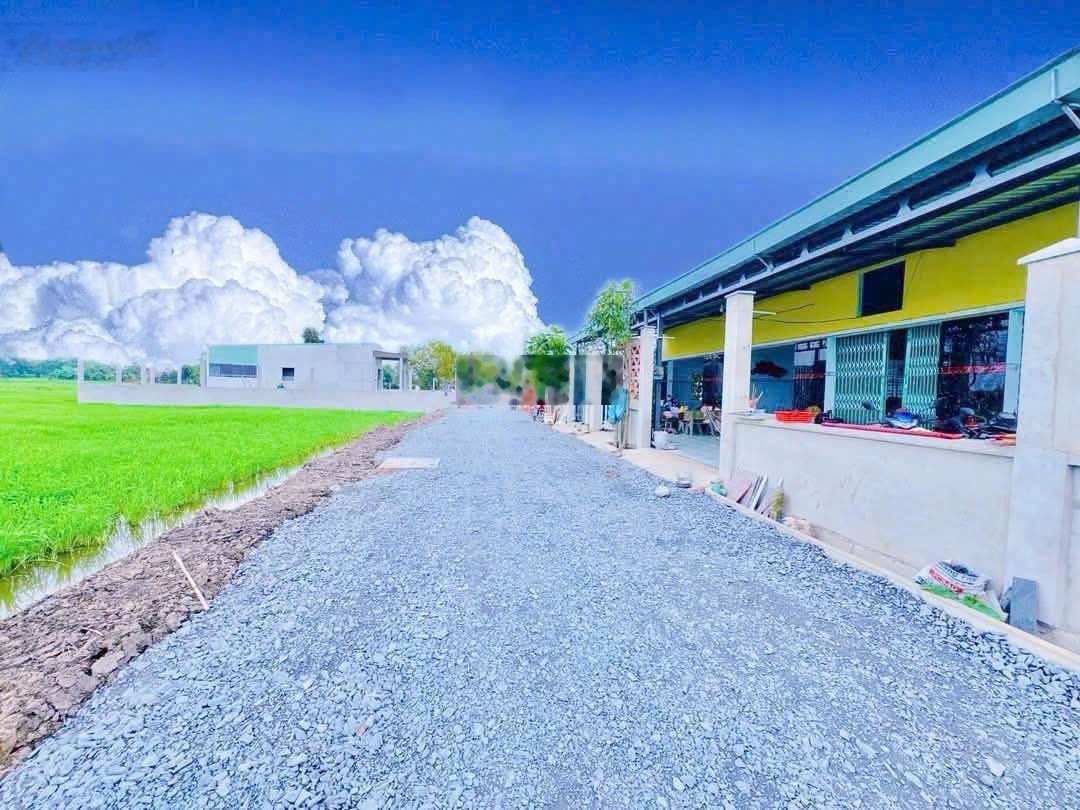 Bán đất sau chợ Hoà Khánh Nam giá rẻ, sổ hồng 580 triệu/ nền