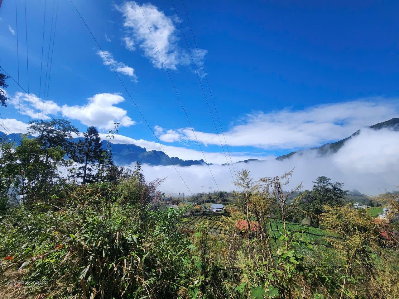 Cần bán gấp 2ha đất đẹp view thung lũng duy nhất tại Ô Quy Hồ, Sapa