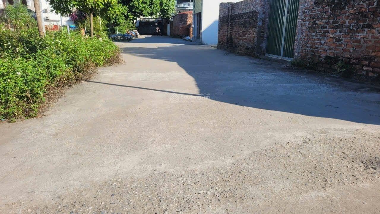Chính chủ cần bán lô 48m2 thái phù sóc sơn hà nội