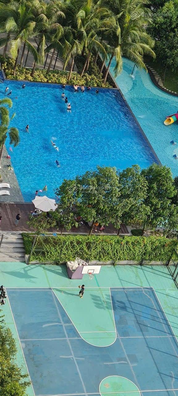 Sốc giá thuê saigon south chỉ từ 12.5 tr/tháng