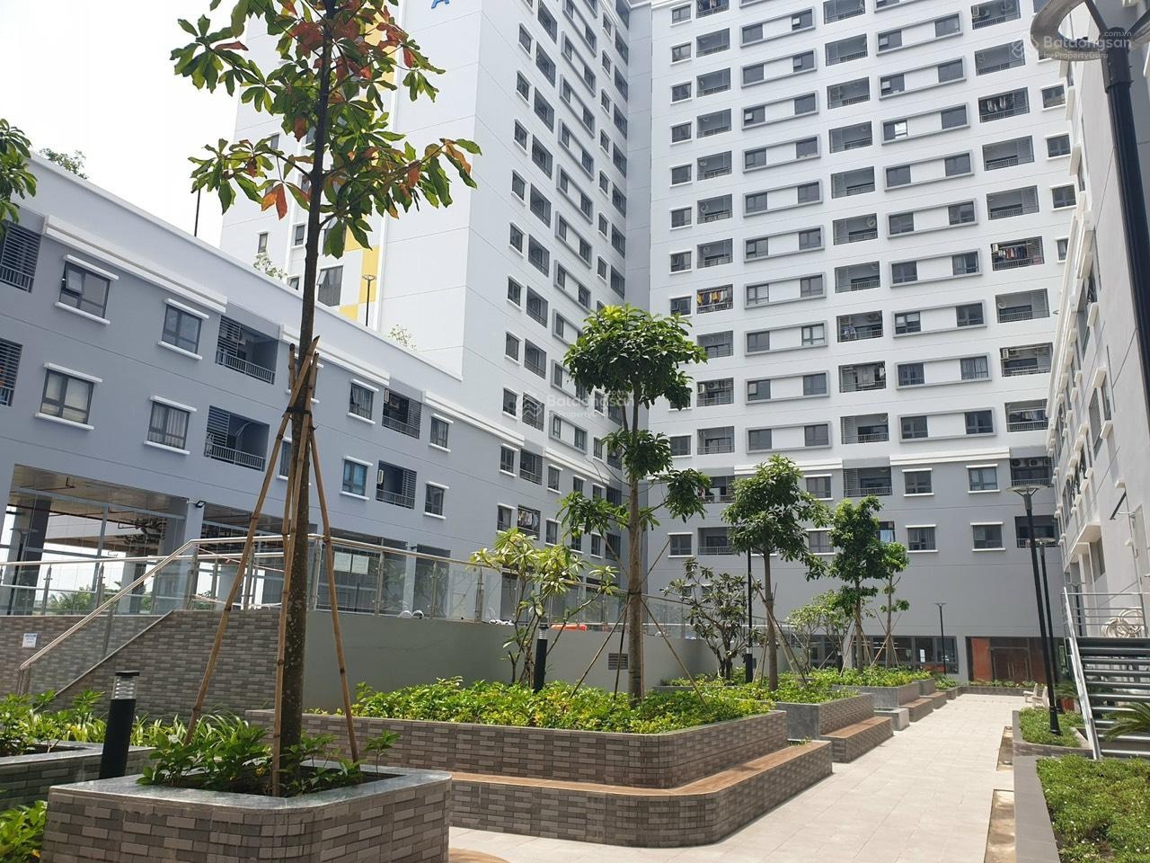 ảnh