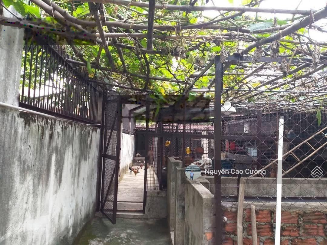 Biệt thự khủng 1080m2 (25x45m), 1hầm, 1lầu, 1áp mái, mặt tiền Lê Thị Riêng, Thới An, Q12