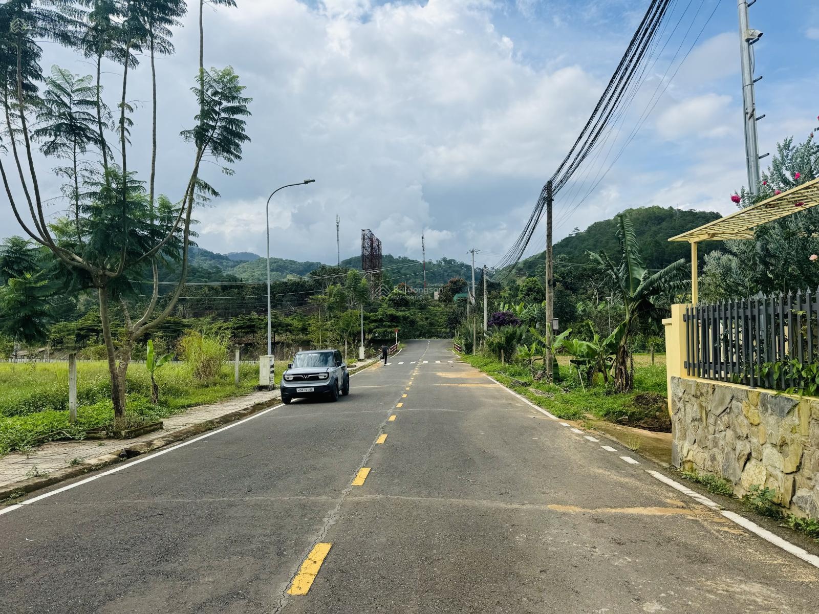 Đất giáp rừng thông view rừng thông dưới chân đèo Prenn Mr Chí Thiện BĐS