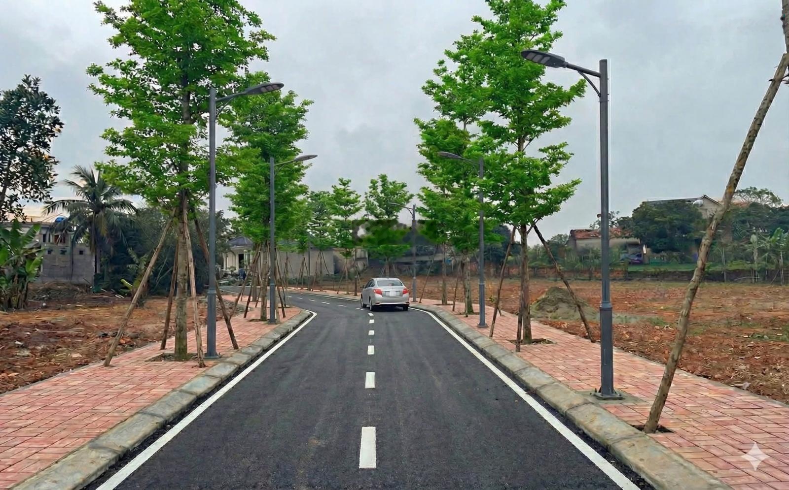 Đất phân lô Chợ Tình p.Xuân Hoà cạnh công viên đối diện trường học và nhà văn hoá giá nhỉnh 10tr/m2