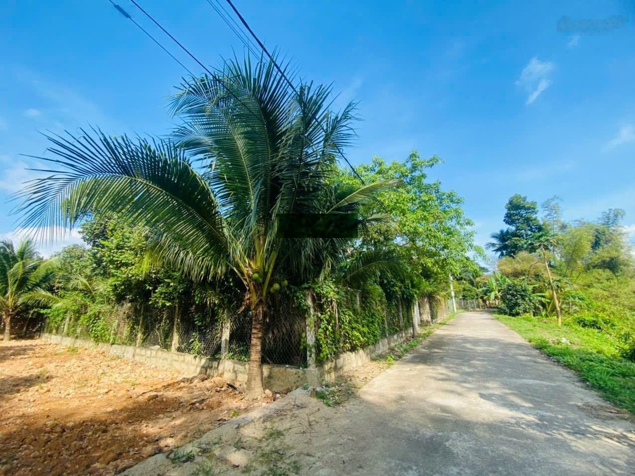 Đất Diên Lạc giá tốt 228m2 giá chỉ 6tr/m2 ngang rộng đường oto