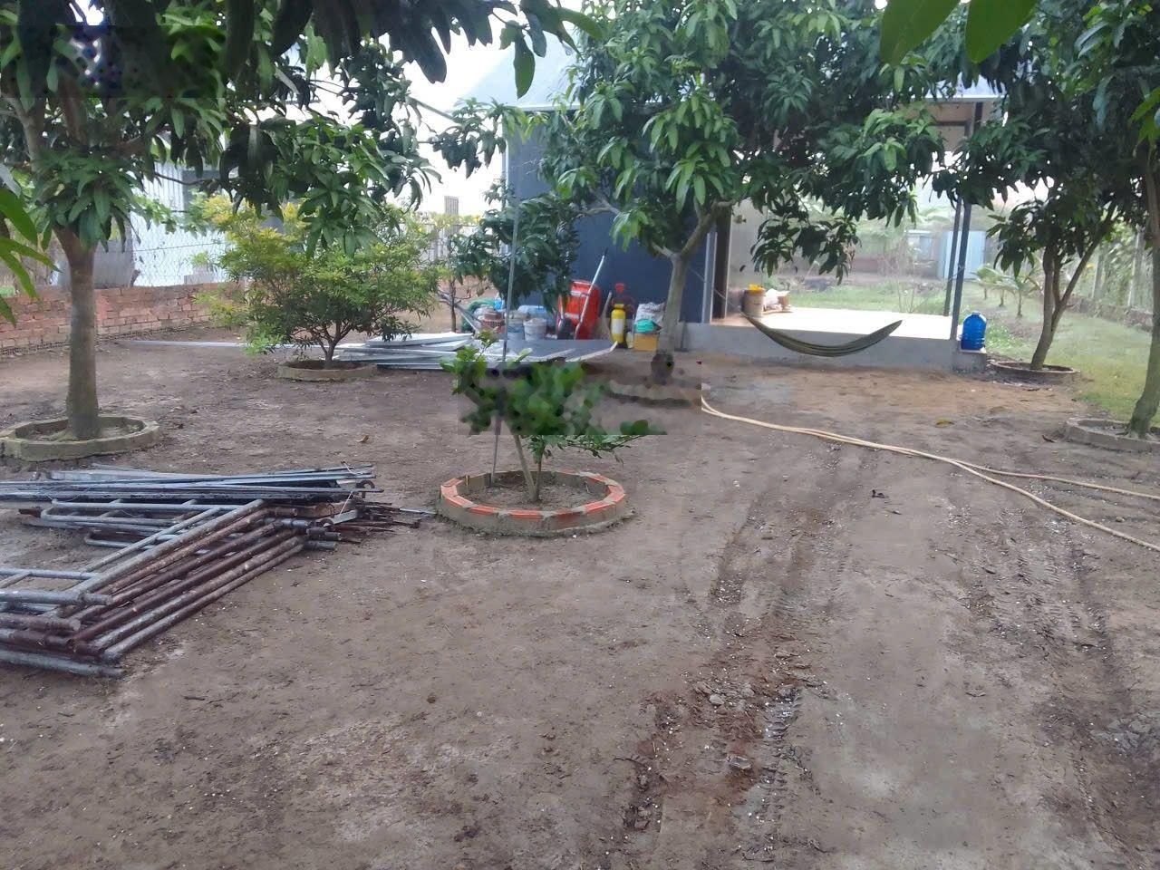 Bán lô đất tặng căn nhà vườn Hưng Long Bình Chánh