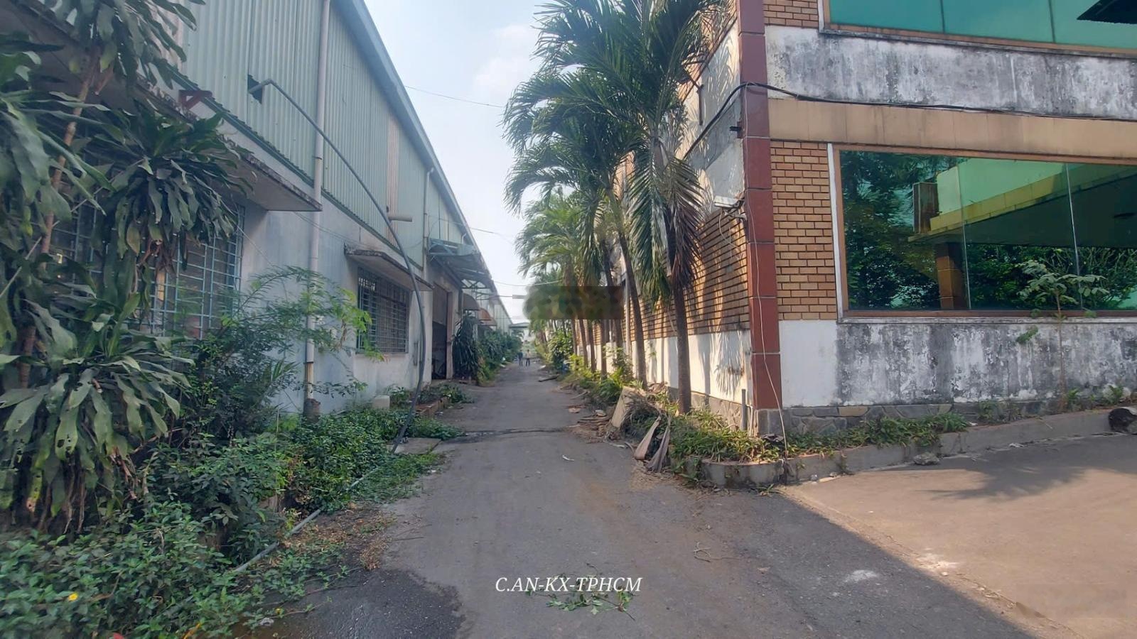 Chính chủ cho thuê xưởng Tân Thới Nhất. DT 5500m2/350tr/tháng