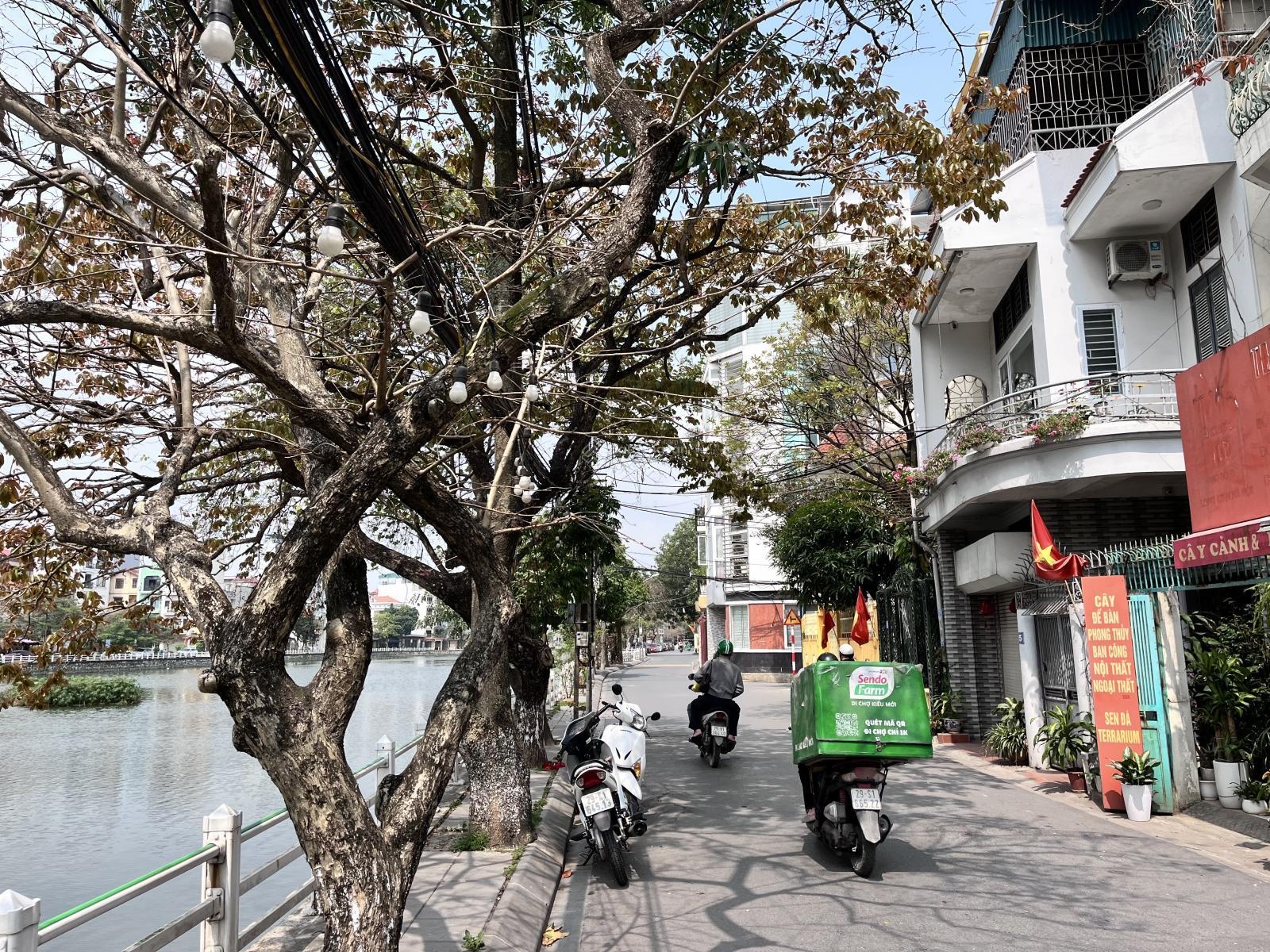 ảnh