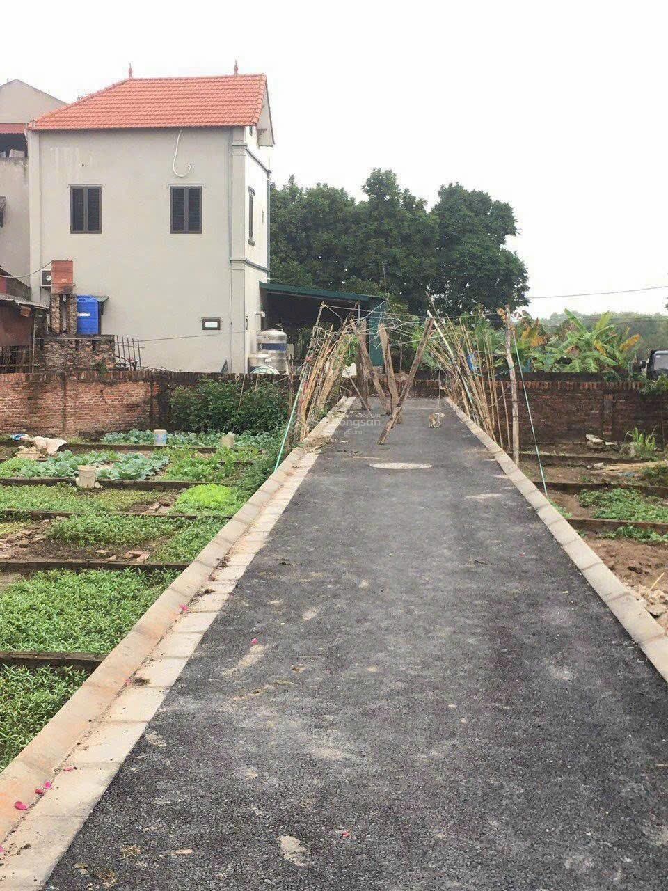 Chỉ với hơn 3ty có ngay lô đất oto đỗ tận cửa tại Đa Tốn