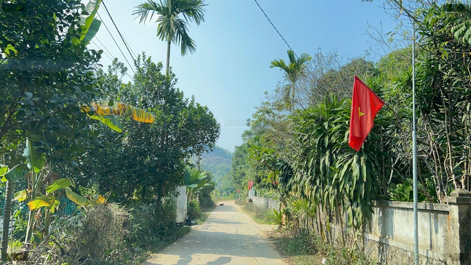 Bán đất trung tâm thị trấn Mãn Đức 348m2 100m² thổ cư ô tô vào - view thoáng mát - nghỉ dưỡng