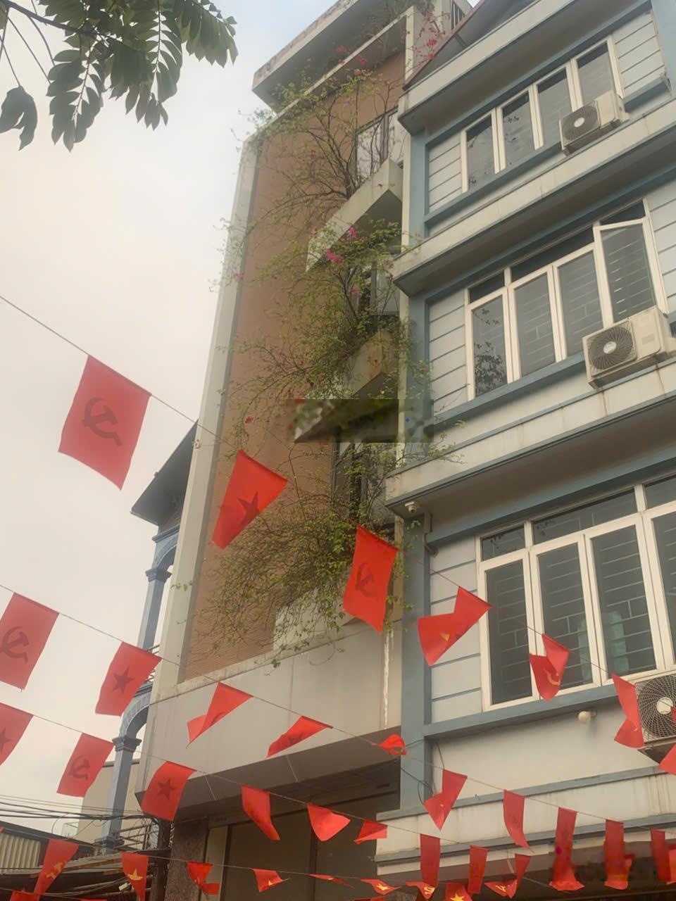ảnh