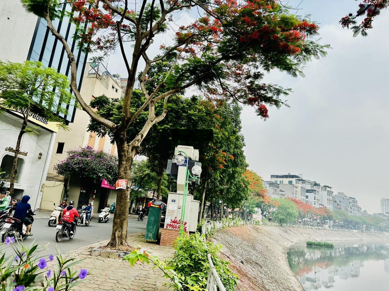 Hiếm có Đất Vàng sổ đỏ lâu dài Nguyễn Khang 600m2 MT 21m GPXD 12 Tầng View Sông 418 Tỷ TL