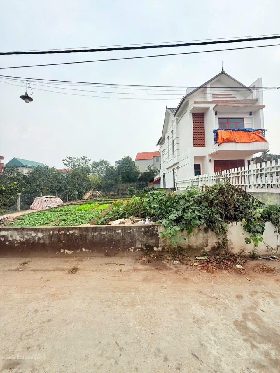 Chỉ 3.52tỷ sở hữu ngay lô 163m MT 7.8m, TT Hoà Lạc Gần chợ Hoà Lạc, sát ĐH Quốc Gia DH FPT gần QL21