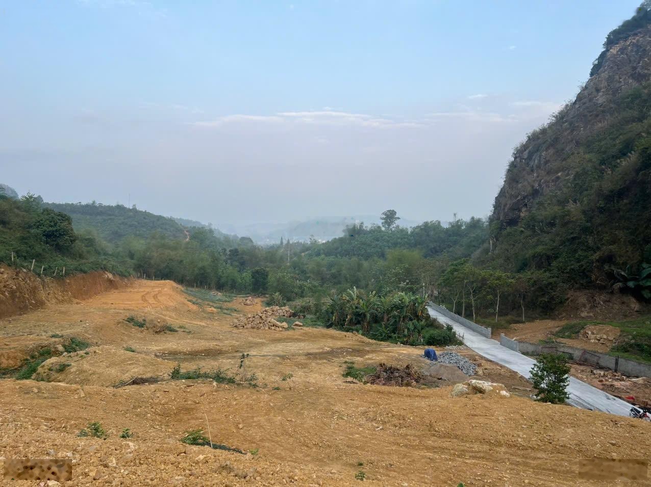 Cần bán 1,1ha đất đẹp tại hoà bình