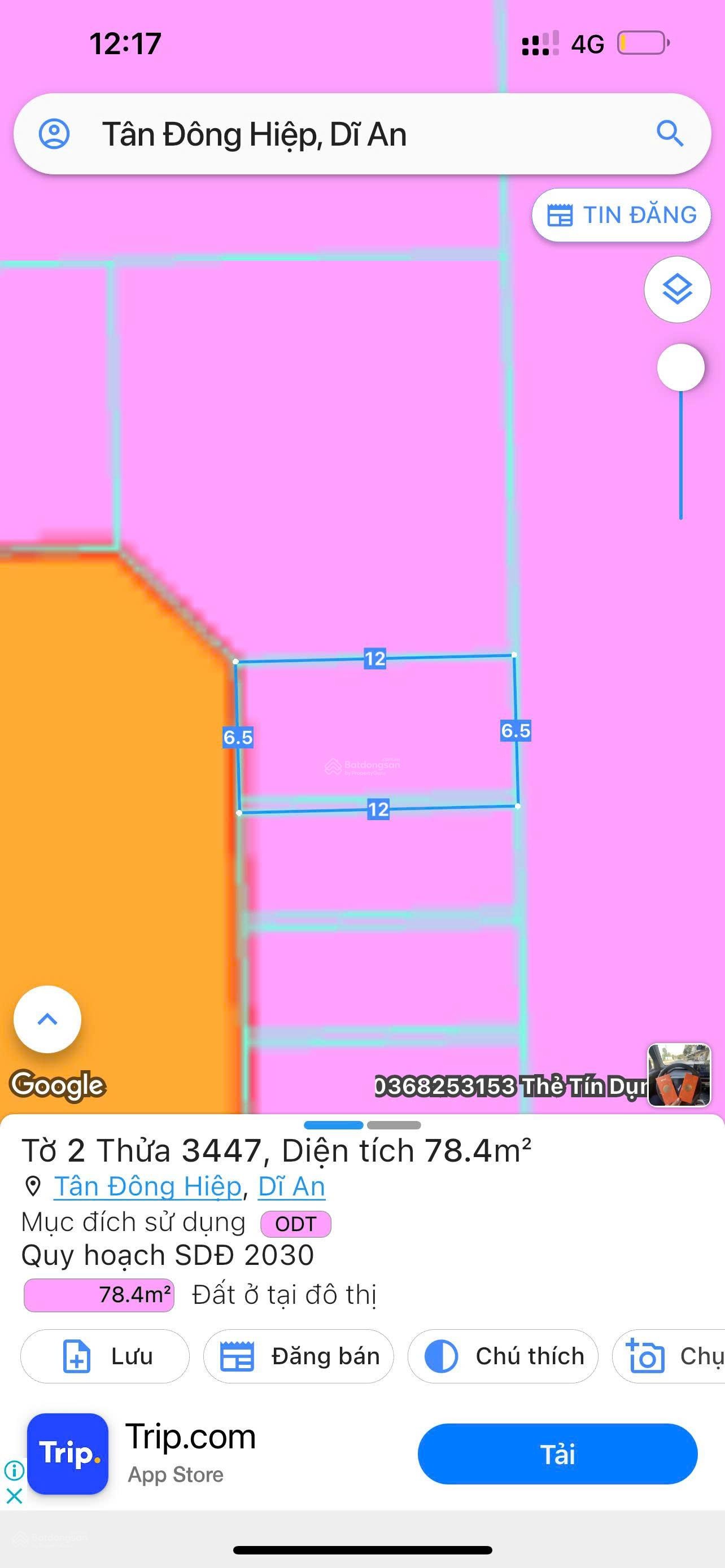 ảnh
