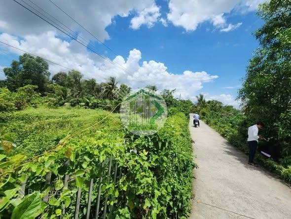 Bán đất giá tốt thuận mỹ - tại châu thành long an