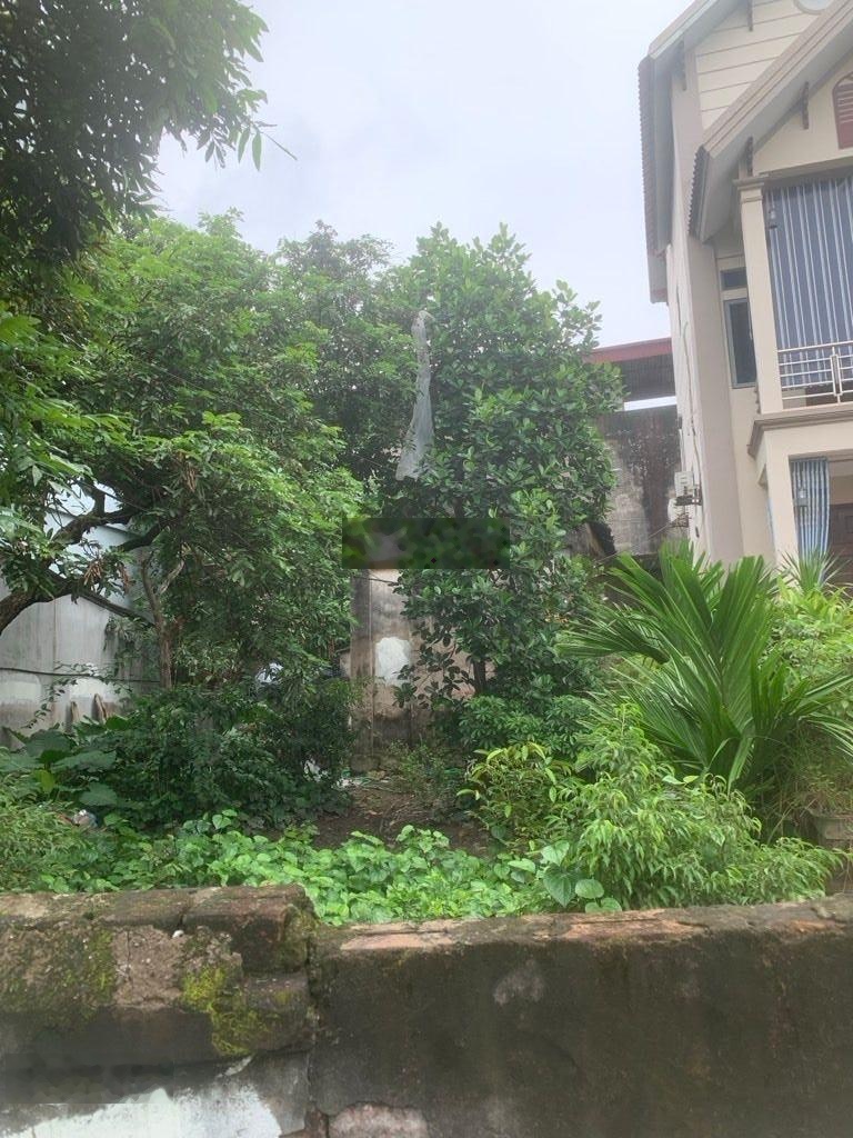 Chính chủ gửi bán 100m2 đất tân quang _ văn lâm _ hưng yên, đường ôtô
