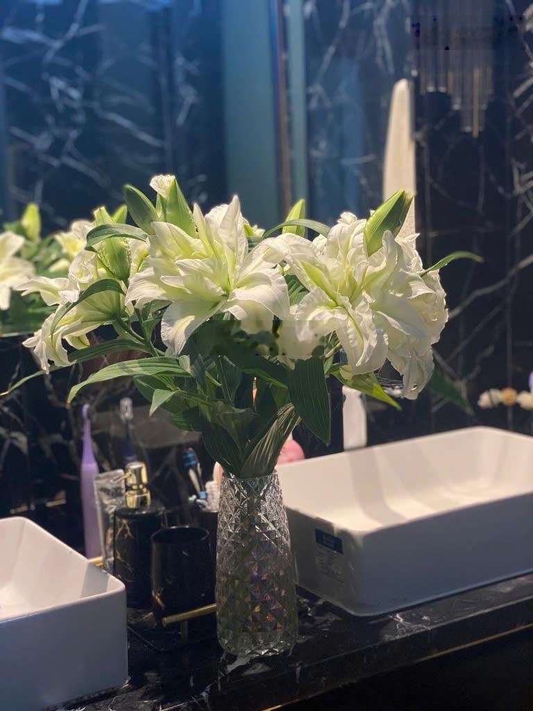 Bán Biệt thự 3 tầng đối diện công viên hà quang 2 Lh : 0798379999