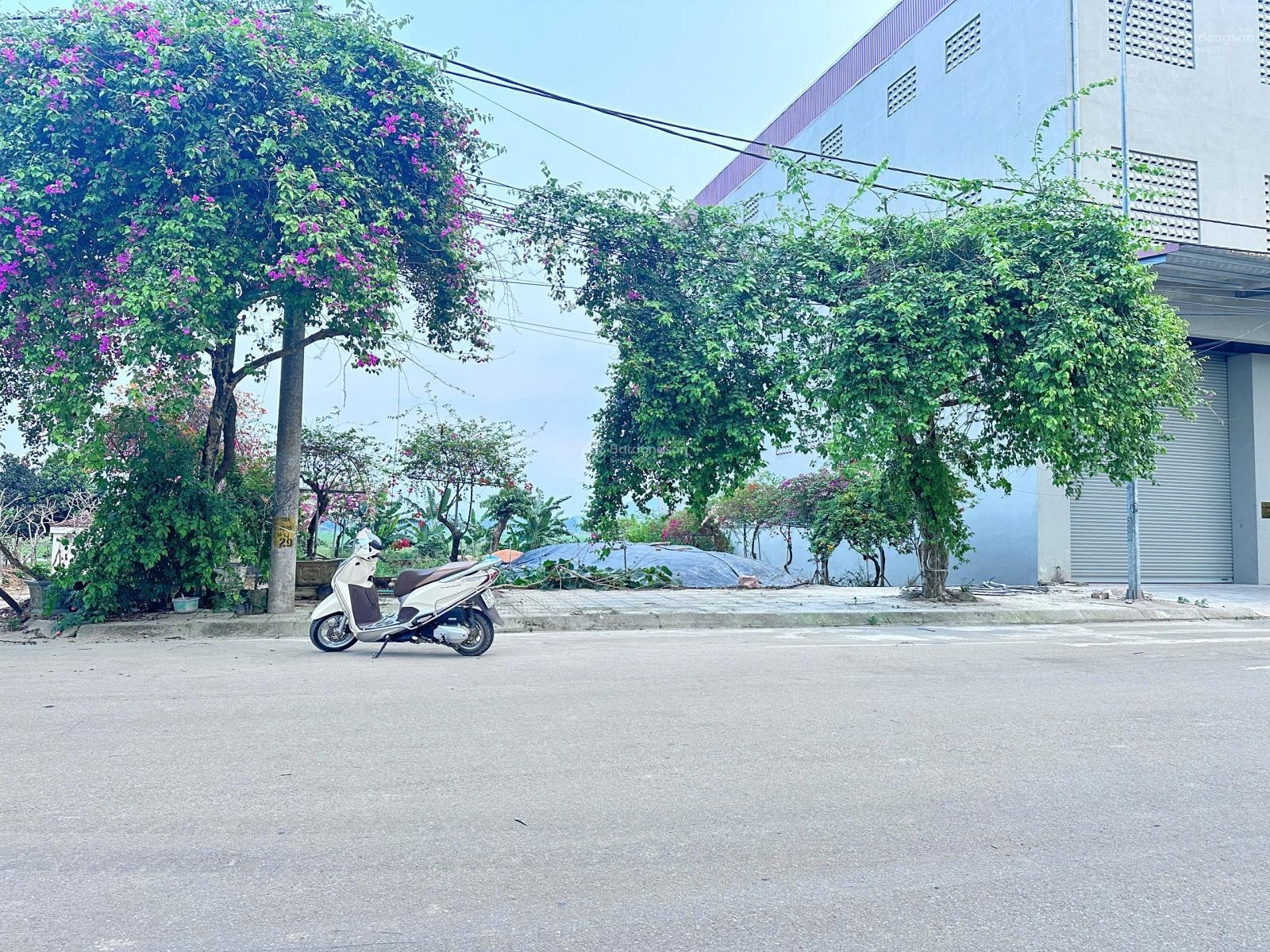 Bán Lô Đất 98m2 Giãn Dân Đường Vỉa Hè Trung Tâm Đô Thị Vệ Tinh Giá 2ty5