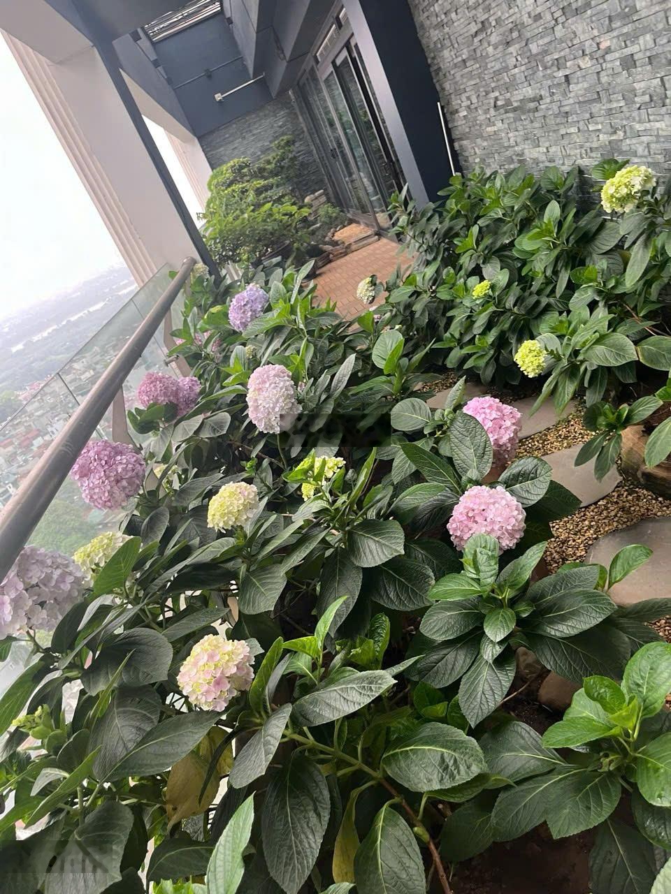Bán căn Penthouse AQUA CENTRAL, 500m2 XD, 2 Tầng, View Sông Hồng, Full nội thất cao cấp, CỰC HIẾM