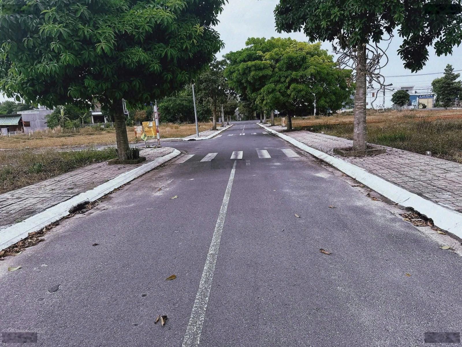 Bán đất tại Xã An Phước, Huyện Long Thành, Đồng Nai, 1,2 tỷ, 100m2, shr, thổ cư