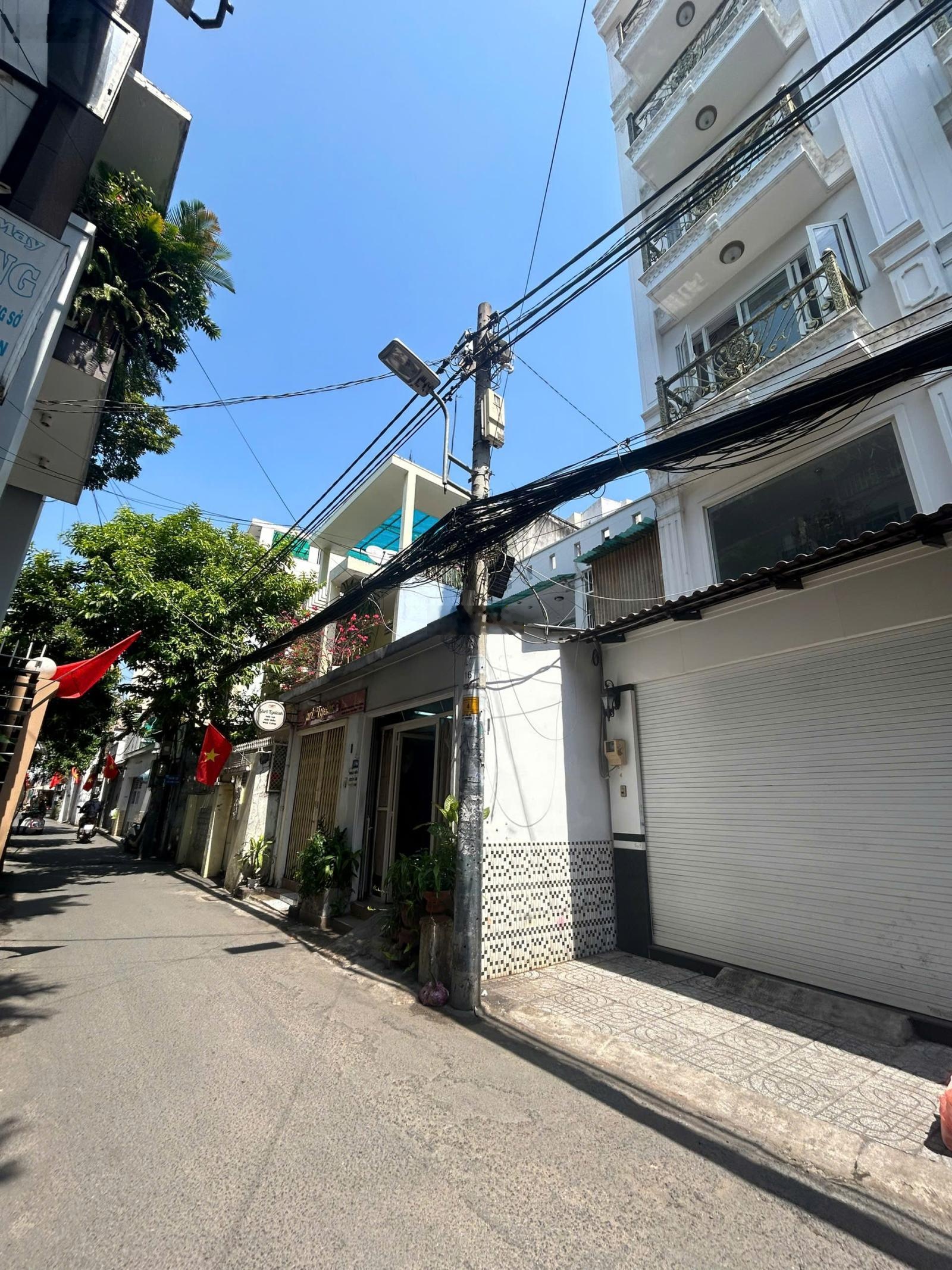 ảnh
