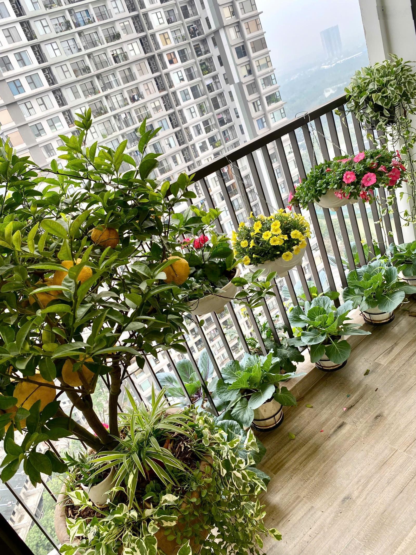 Chính chủ cần bán gấp căn hộ Haven Park, full đồ view vịnh đảo