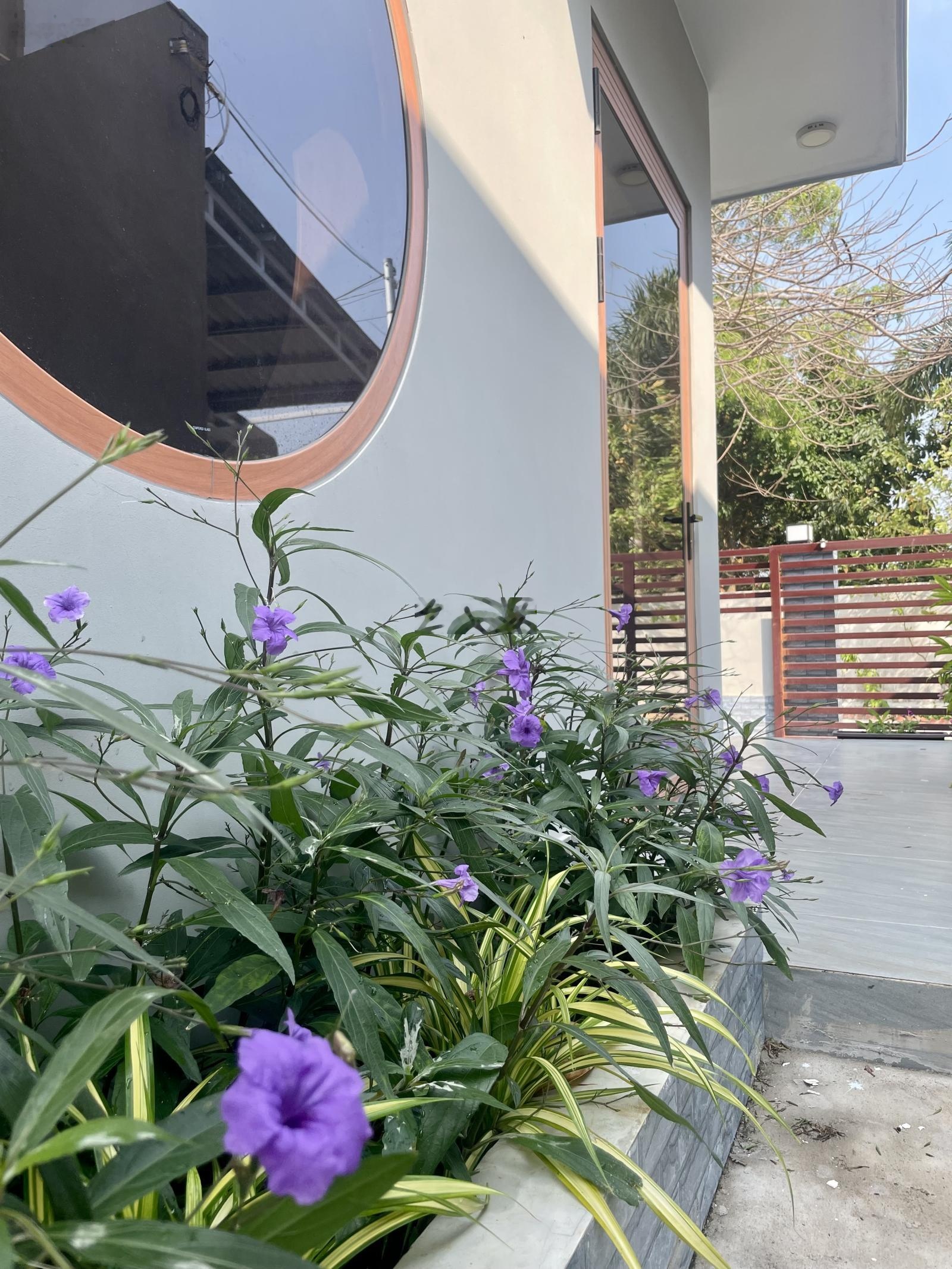 Chủ nhà SG cần bán gấp nhà riêng khu dân cư yên tĩnh tại đường Số 2, xã Long Điền, TPHCM (BRVT cũ)