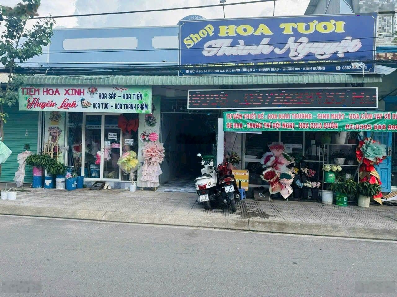 ảnh