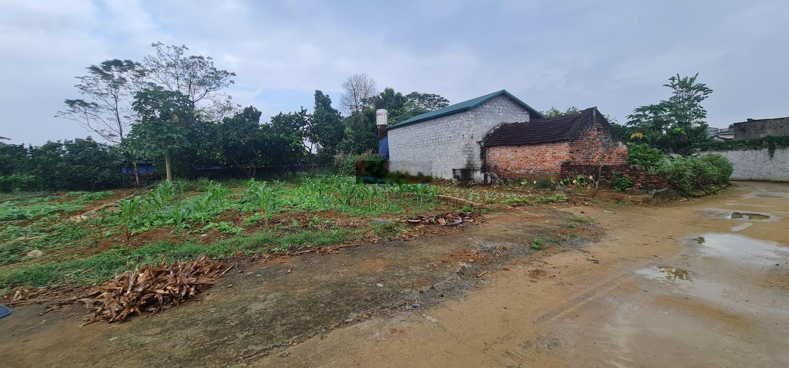 A173. 2,x tỷ sở hữu ngay 187,8m² đất trung tâm hòa lạc vị trí đón sóng lớn