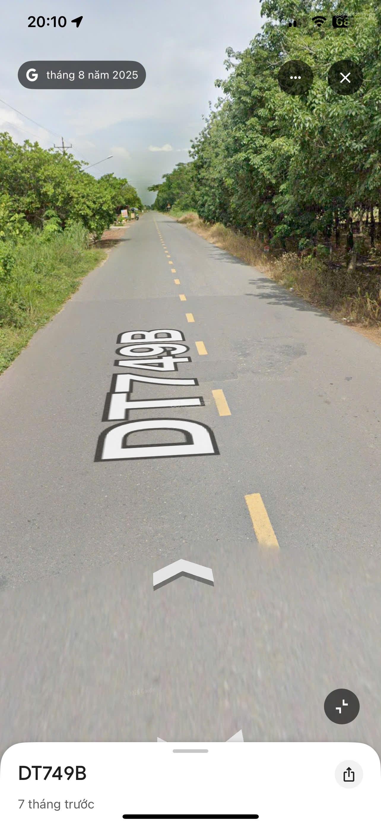 ảnh