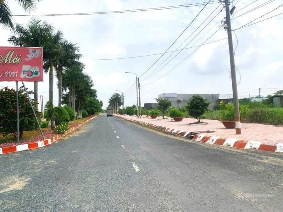 ảnh