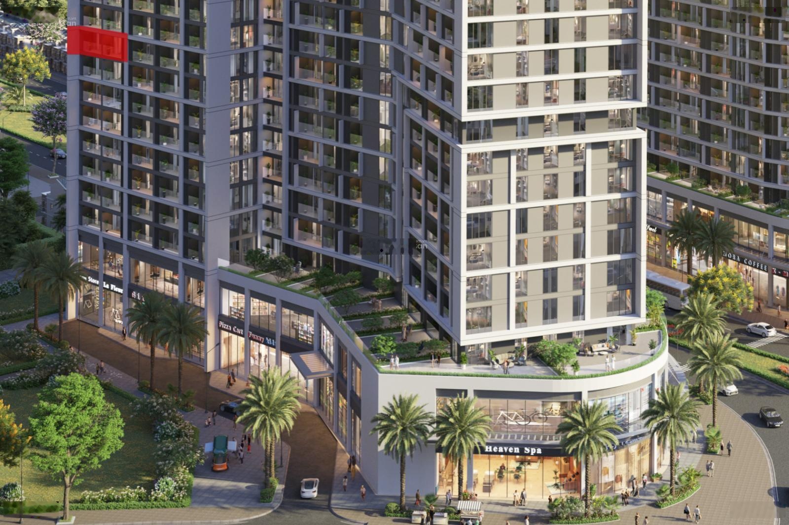 ảnh