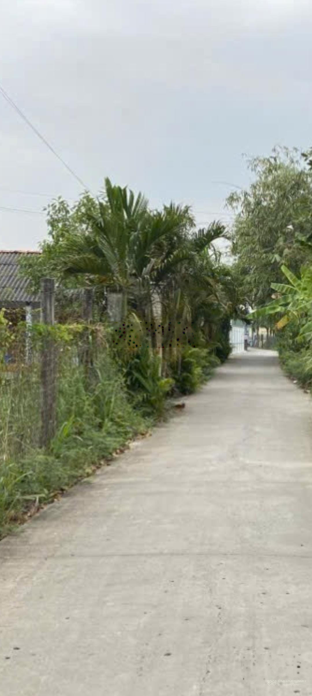 Bán đất đường Nguyễn Thìn, Gò Công Đông Tiền Giang, 5,6x38m, sổ hồng riêng, giá 440tr thương lượng