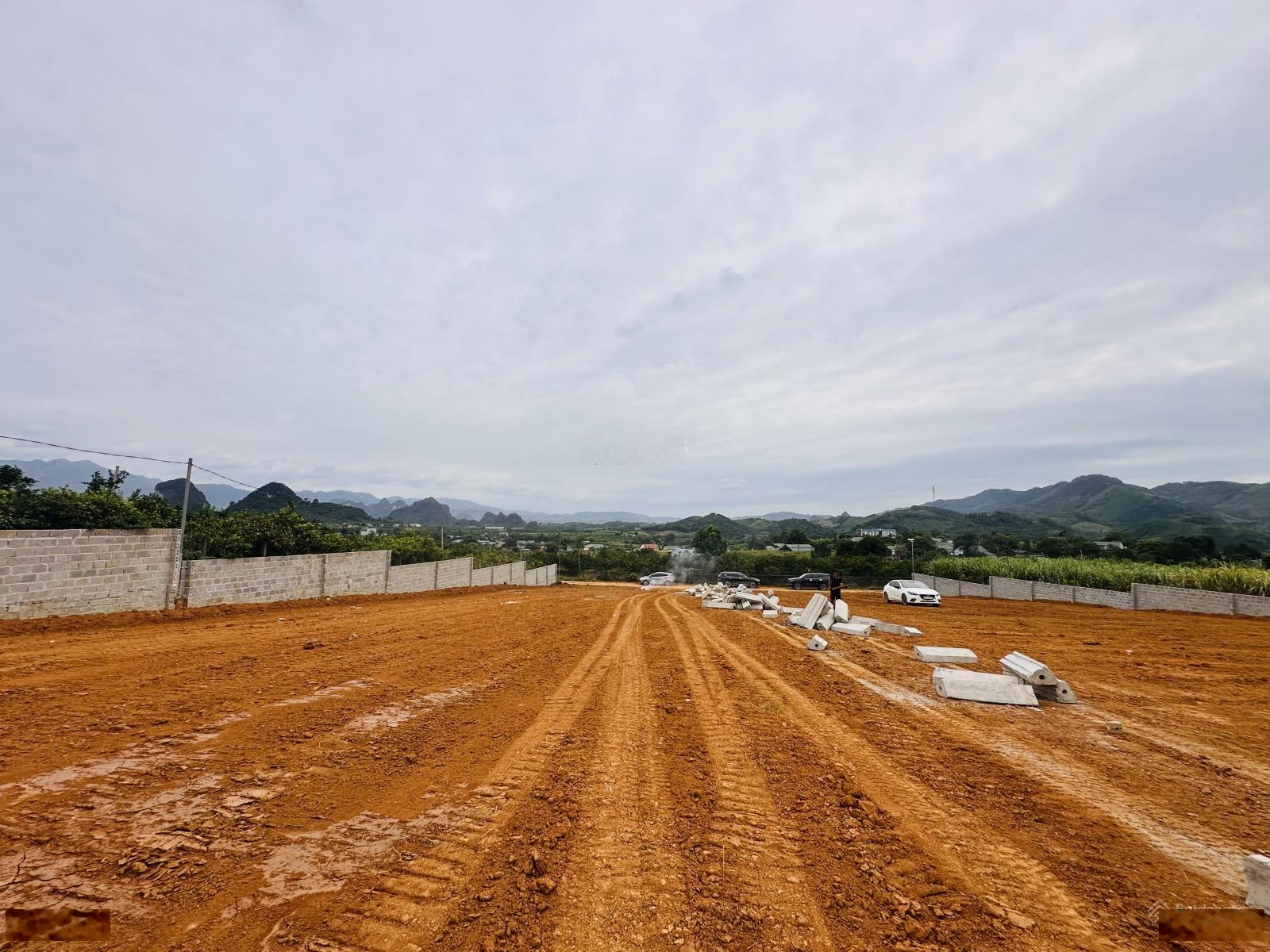 SIÊU PHẨM ĐẦU TƯ QUỸ ĐẤT HIẾM TẠI CAO PHONG GIÁ CỰC TỐT, mặt đường oto tránh gần nhiều tiện ích