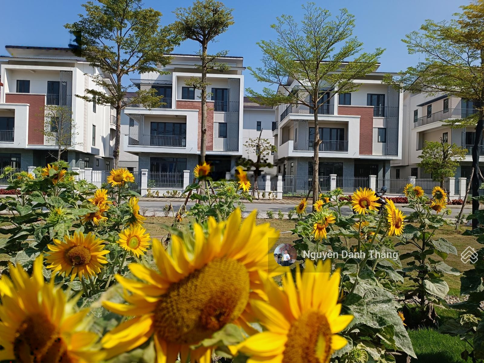 Căn Villa đơn lập giá gốc cdt kdt Centa Riverside Từ Sơn