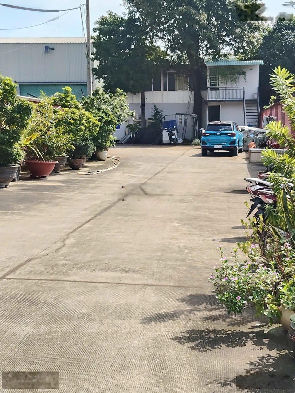 ảnh
