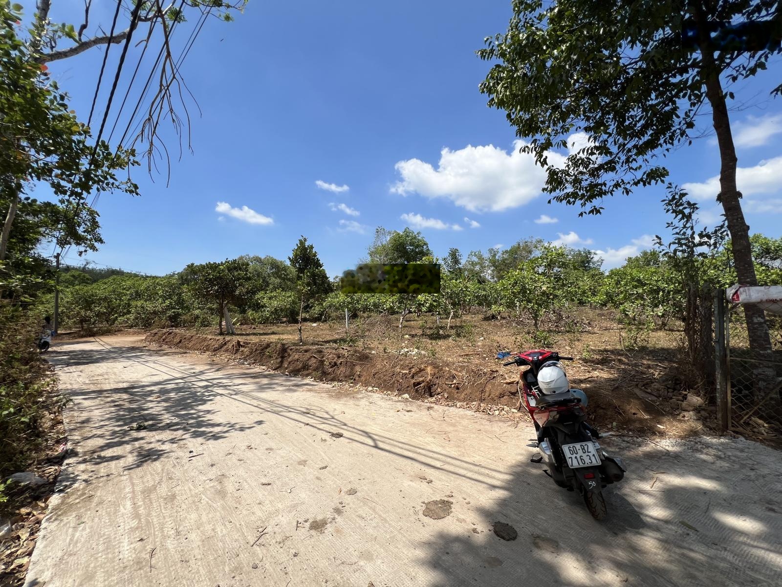 Bán Đất khu công nghiệp Long Khánh, 790 triệu, 115m2.