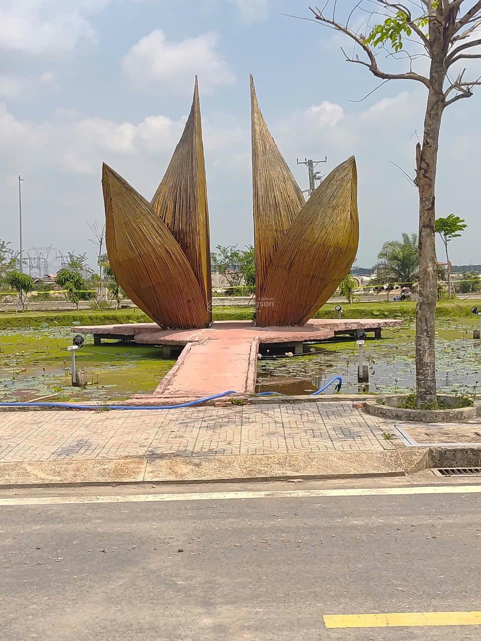 ảnh