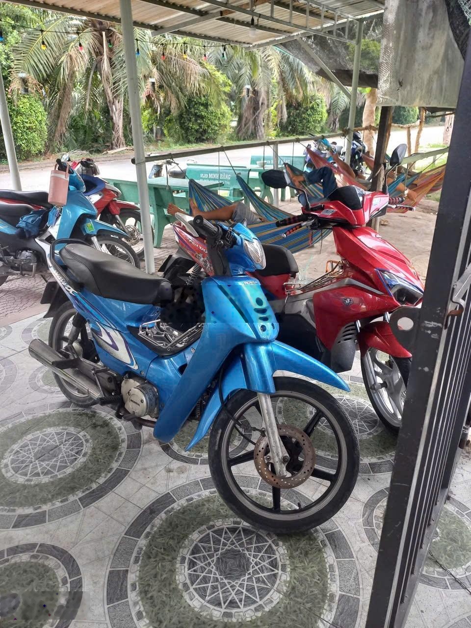 ảnh
