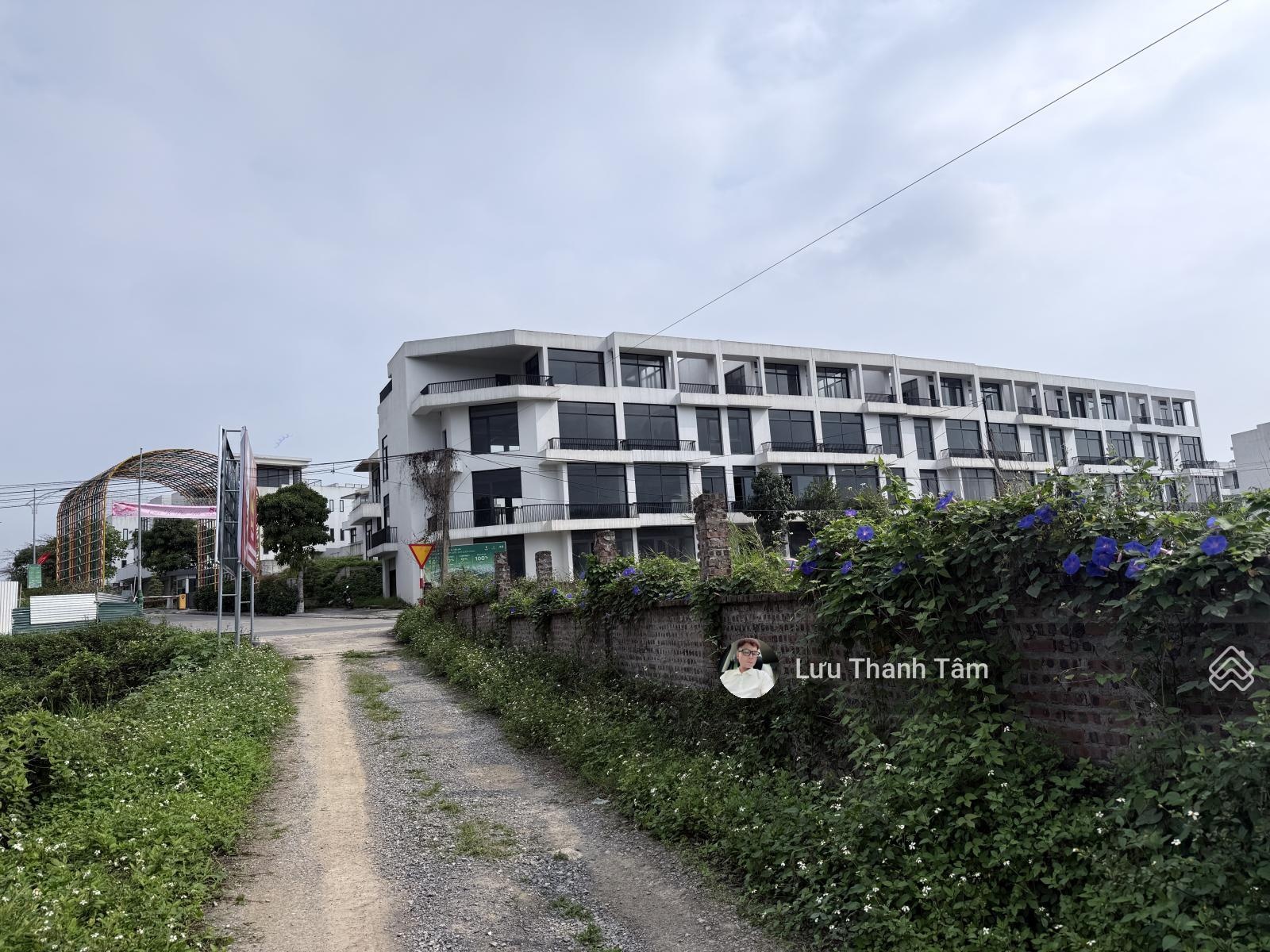 ảnh