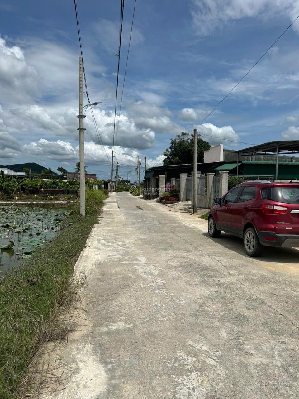 ảnh