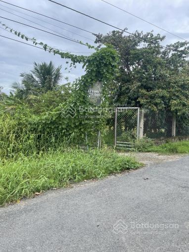 Bán đất 2600m2 chính chủ tại Thị Trấn Vĩnh Bình