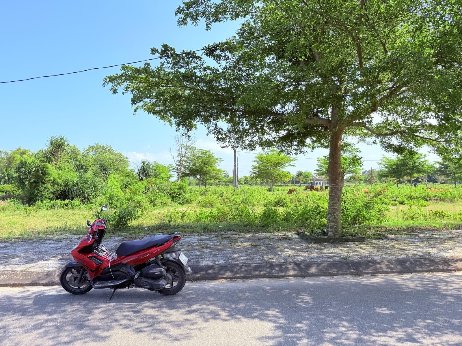 Rẻ nhất khu đô thị số 4 sát sông cổ cò, sổ sẵn công chứng được ngay