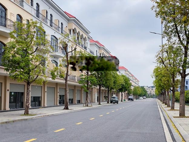 Bán gấp shophouse 70m2 hướng Đông Nam ban công to giá 10.1 tỷ rẻ nhất Vinhomes Ocean Park 2
