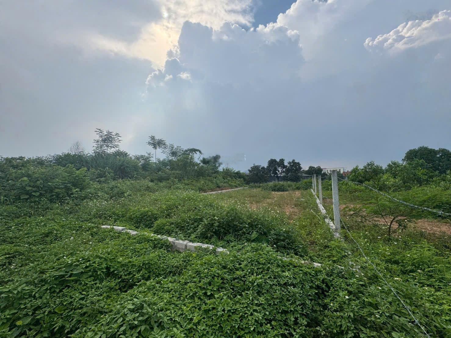 CHỦ CẦN TIỀN BÁN GẤP LÔ ĐẤT ĐẸP khu đấu giá Hồ Văn Sơn Hoàng Văn Thụ Chương Mỹ