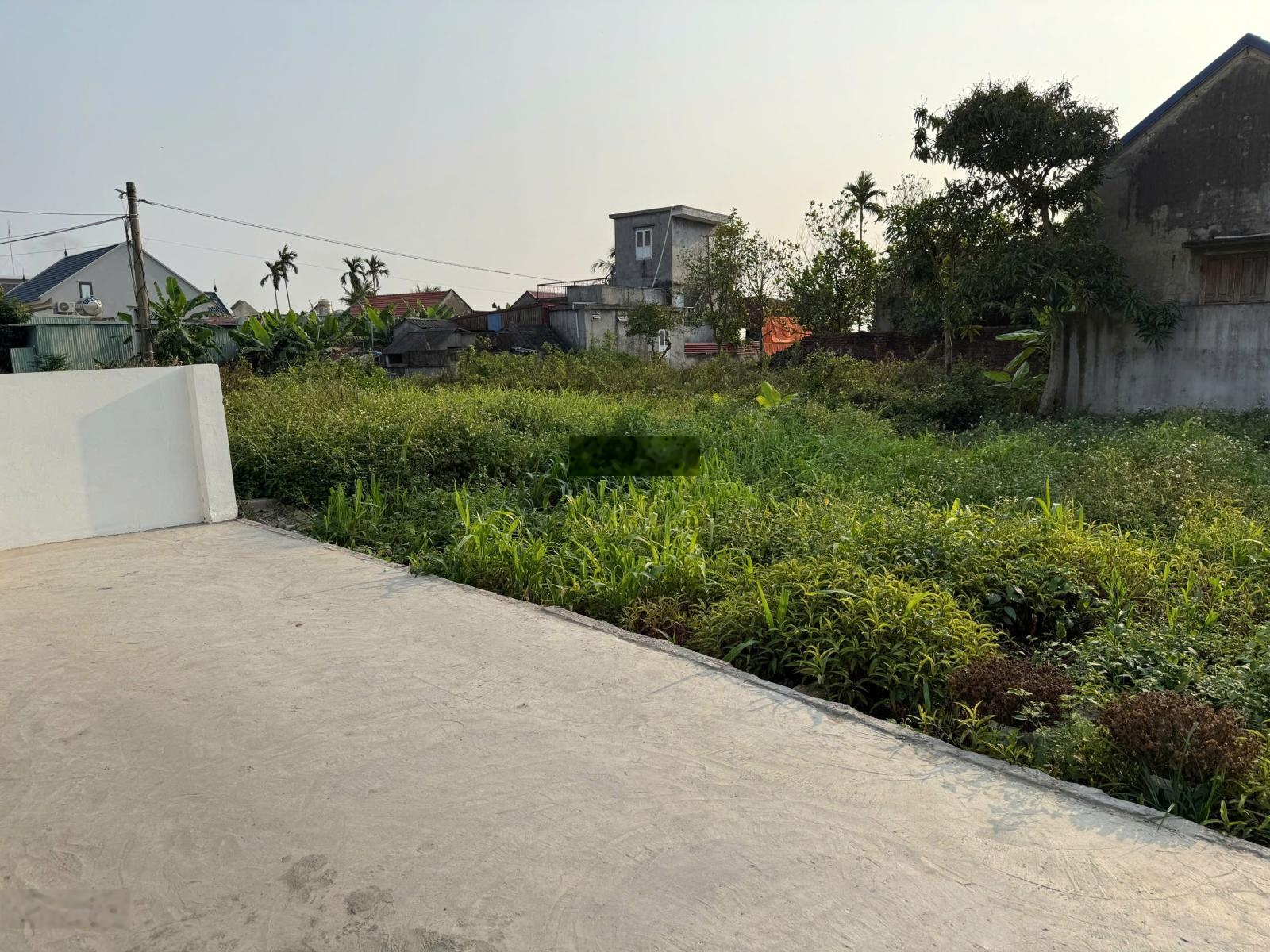 Sang tên lô đất tại Thù Du - Minh Tân (xã Kiến Minh) - HP